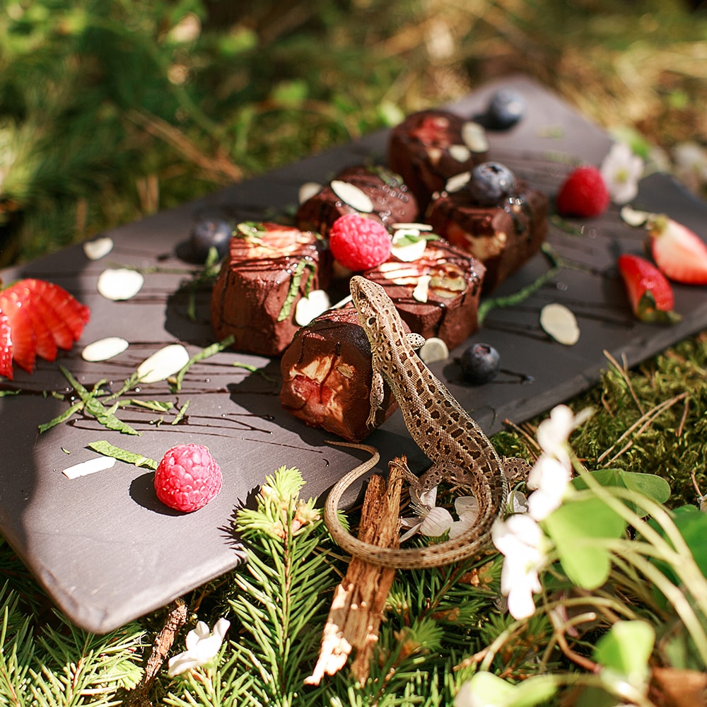 Организация свадьбы вашей мечты